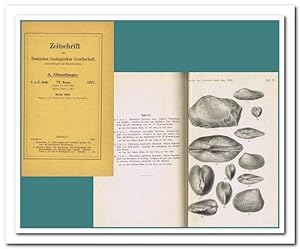 Zeitschrift der Deutschen Geologischen Gesellschaft, Jahrgang 1921 (73. Band)