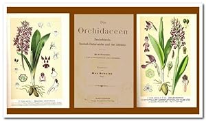 Die Orchidaceen Deutschlands, Deutsch-Oesterreichs und der Schweiz (1891)