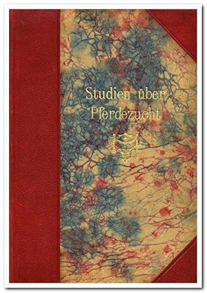 Studien über Pferdezucht (Originalausgabe 1911)