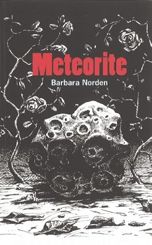 Bild des Verkufers fr Meteorite (Oberon Modern Plays) zum Verkauf von Kepler-Buchversand Huong Bach