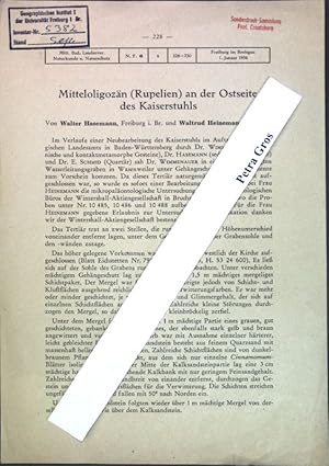 Seller image for Mitteloligozn (Rupelien) an der Ostseite des Kaiserstuhls; for sale by books4less (Versandantiquariat Petra Gros GmbH & Co. KG)