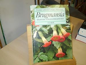 Seller image for BRUGMANSIA. (Datura) Engelstrompeten. for sale by Antiquariat im Schloss