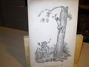 Bild des Verkufers fr Survage montant sur un arbre. (nouvelle Hollande). Original-Lithographie. Entnommen: Souvenirs d'un Aveugle, Voyage autour Du Monde, 1839. zum Verkauf von Antiquariat im Schloss