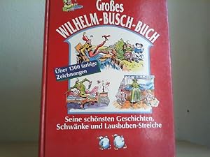 Großes Wilhelm-Busch-Buch. Seine schönsten Geschichten, Schwänke und Lausbuben-Streiche.