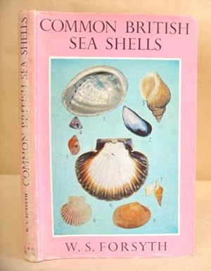 Bild des Verkufers fr Common British Sea Shells zum Verkauf von Eastleach Books