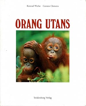 Bild des Verkufers fr Orang Utans. Die Waldmenschen von Sumatra und Borneo zum Verkauf von Schueling Buchkurier