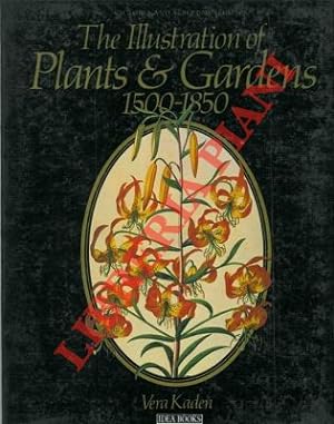 The illustration of plants & gardens 1500 - 1850.