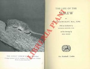 The life of the shrew.