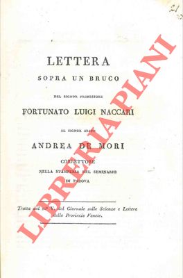 Seller image for Lettera sopra un bruco. for sale by Libreria Piani