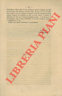 Bild des Verkufers fr Due relazioni . L'una sulla malattia dei capperi l'altra su quella di alcuni vitigni. zum Verkauf von Libreria Piani