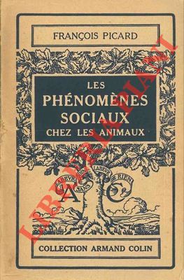 Les phénomènes sociaux chez les animaux.