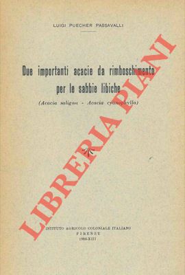 Seller image for Due importanti acacie da rimboschimento per le sabbie libiche (Acacia saligna - Acacia cyanophilla). for sale by Libreria Piani