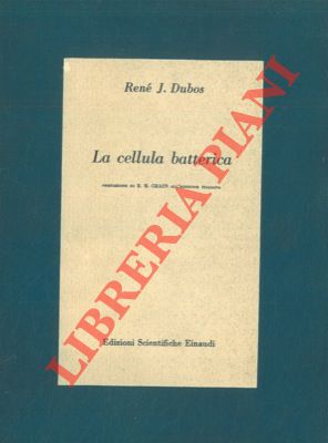 Immagine del venditore per La cellula batterica in relazione coi problemi della virulenza, dell'immunit e della chemioterapia. venduto da Libreria Piani