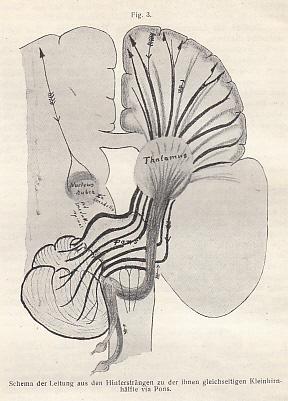 Zur Funktion des Kleinhirns ( S. 633-637, 3 Fig.). UND: Robert Bárány: Lokalisation in der Rinde ...