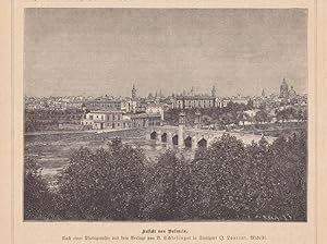 Ansicht von Valencia, Turia, Holzstich um 1880 mit Blick auf die Stadt aus der Natur heraus, Blat...