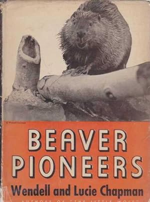 Beaver Pioneers