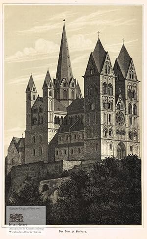 Bild des Verkufers fr Der Dom zu Limburg. Schne Gesamtansicht des Doms zu Limburg mit Bumen und Buschwerk im Vordergrund. Original-Holzstich von Heuer & Kirmse mit Tonplatte 1885 zum Verkauf von historicArt Antiquariat & Kunsthandlung