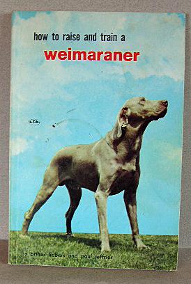 HOW TO RAISE AND TRAIN A WEIMARANER