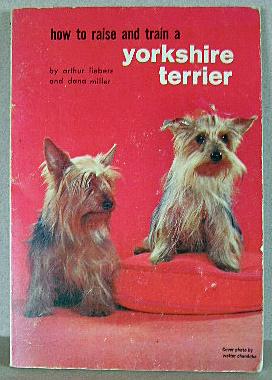 HOW TO RAISE AND TRAIN A YORKSHIRE TERRIER