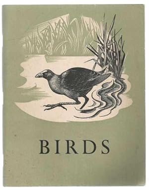 Image du vendeur pour Birds - A Primary School Bulletin mis en vente par Turn The Page Books