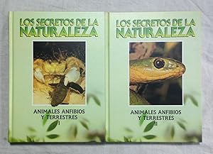 ANIMALES ANFIBIOS Y TERRESTRES. 2 Tomos. Los Secretos de la Naturaleza