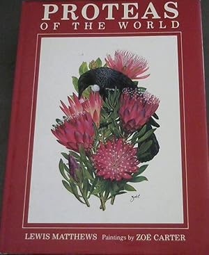 PROTEAS OF THE WORLD.