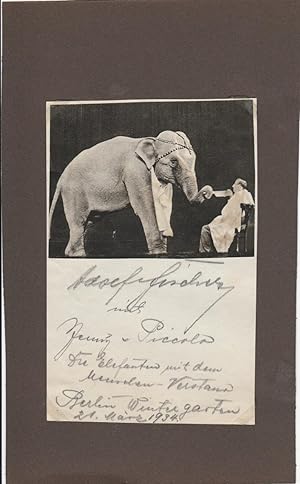 ADOLF FISCHER (Daten unbekannt) deutscher Zirkusdirektor, Elefantendressur