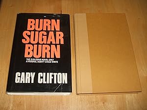 Imagen del vendedor de Burn Sugar Burn a la venta por biblioboy