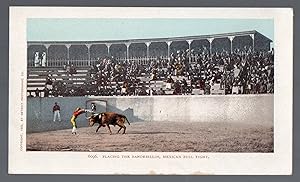 1902 Mexican Bull Fight Postcard Placing the Banderillos