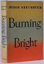 Seller image for Burning Bright for sale by Bookbid