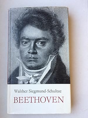 Beethoven. Eine Monographie