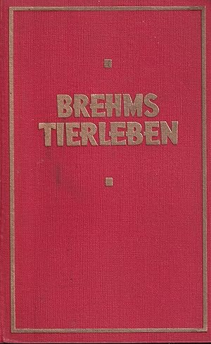 Seller image for Sgetiere Raubtiere, 1.und 2.Band in einem Buch. for sale by Clivia Mueller