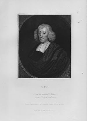 Ray, John (1627-1705), English Naturalist - An Original Engraved Antique Portrait