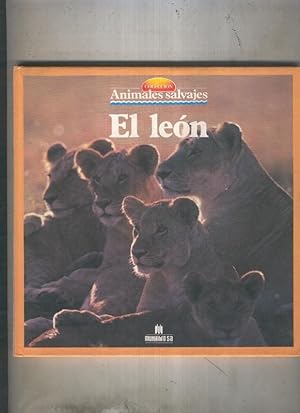 Immagine del venditore per Animales Salvajes numero 04: El leon venduto da El Boletin