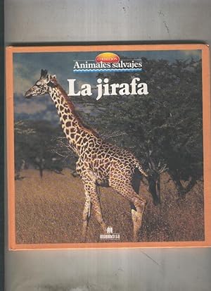 Immagine del venditore per Animales Salvajes numero 05: La jirafa venduto da El Boletin