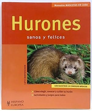 Hurones: Mascotas En Casa