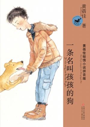 Seller image for Fiction Series of Full Emotion by Huang Beijia:Pinyin Edition(10 titles)(Chinese Edition) for sale by liu xing