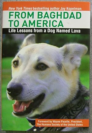 Bild des Verkufers fr From Baghdad to America: Life Lessons from a Dog Named Lava zum Verkauf von Book Nook