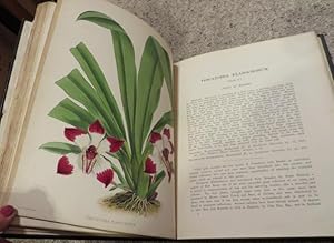 The Orchid Album, Comprising Coloured Figures and Descriptions of New, Rare and Beautiful Orchida...