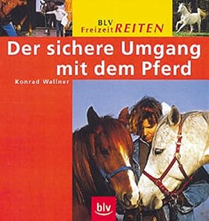 Der sichere Umgang mit dem Pferd