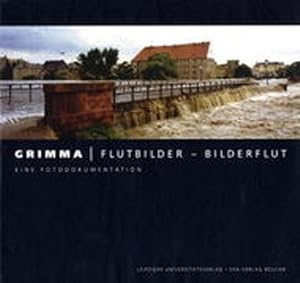 Grimma: Flutbilder - Bilderflut