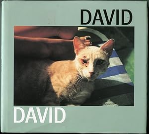 Seller image for David for sale by Antikvariat Valentinska