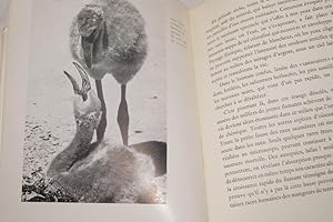 Seller image for LES FLAMANTS ROSES DE CAMARGUE for sale by Librairie RAIMOND