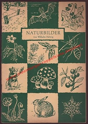 Naturbilder (1957 )