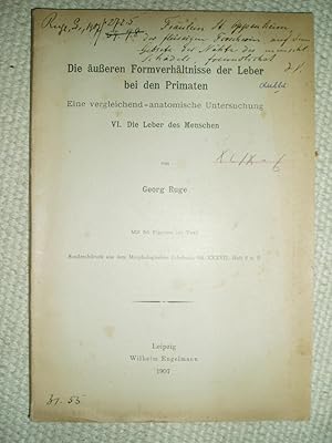 Die äusseren Formverhältnisse der Leber bei den Primaten: Eine vergleichend-anatomische Untersuch...