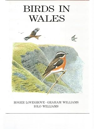 Imagen del vendedor de BIRDS IN WALES a la venta por Books for Amnesty, Malvern