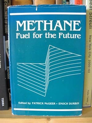 Immagine del venditore per Methane: Fuel for the Future venduto da PsychoBabel & Skoob Books