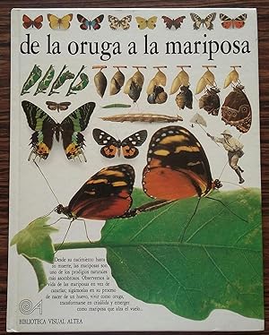 De LA Oruga a LA Mariposa