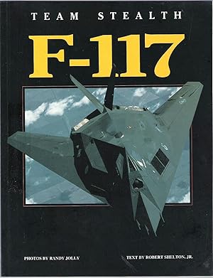 Immagine del venditore per Team Stealth F-117 venduto da Anvil Books