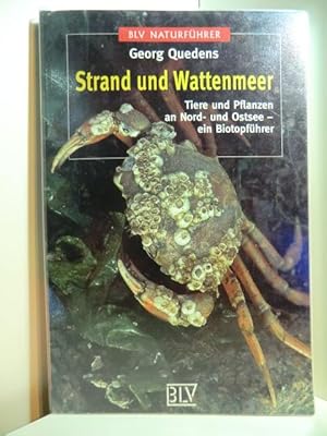 Bild des Verkufers fr Strand und Wattenmeer. Tiere und Pflanzen an Nord- und Ostsee. Ein Biotopfhrer. BLV-Naturfhrer zum Verkauf von Antiquariat Weber